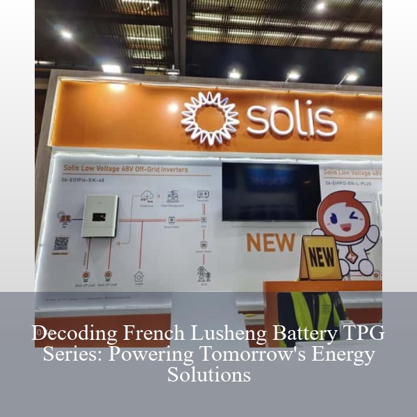 Decoding French Lusheng Battery TPG Series: Powering Tomorrow's Energy Solutions